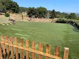 IMG-20250616-WA0122