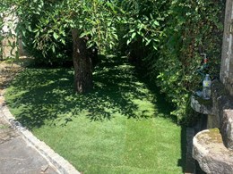 IMG-20250616-WA0131