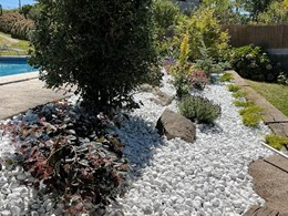 IMG-20250616-WA0149