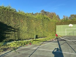 IMG-20250616-WA0169