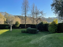 IMG-20250616-WA0172