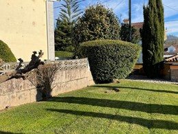 IMG-20250616-WA0187