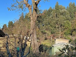 IMG-20250616-WA0191