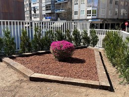IMG-20250616-WA0197