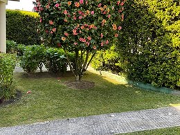 IMG-20250616-WA0202