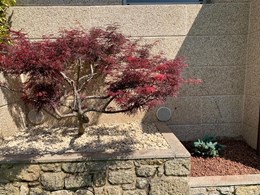 IMG-20250616-WA0244