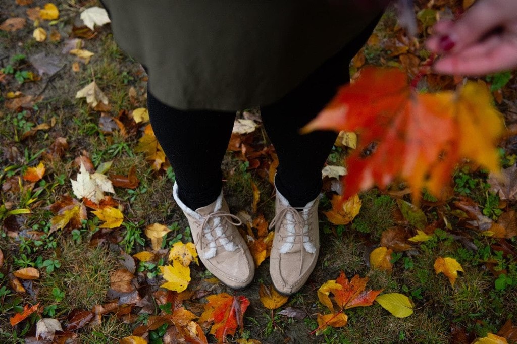 Importancia del mantenimiento de jardines en otoño