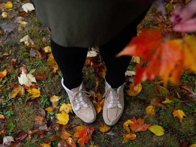 Importancia del mantenimiento de jardines en otoño