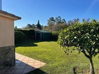 Las 5 plagas más comunes en esta época y cómo combatirlas con tratamientos eficaces