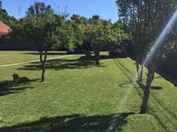 ¡Llega el calor! Ajusta la frecuencia de riego para evitar el estrés hídrico de tus plantas