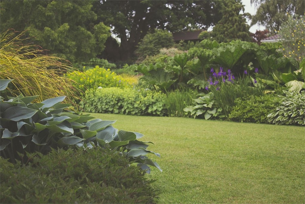 Mantenimiento de jardines: ¡conseguimos que luzca siempre perfecto!