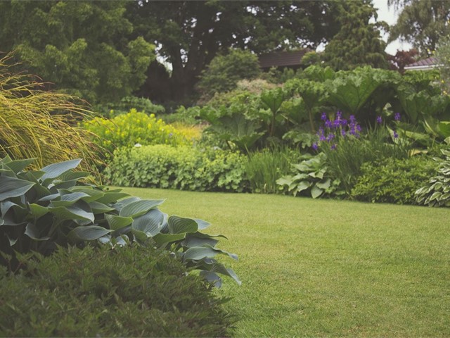 Mantenimiento de jardines: ¡conseguimos que luzca siempre perfecto!