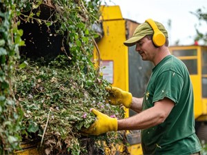 Técnicas de poda para diferentes tipos de plantas